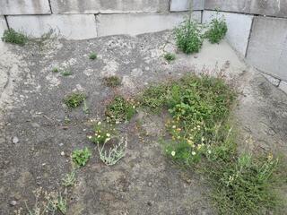 Pile of Light Gray Sand