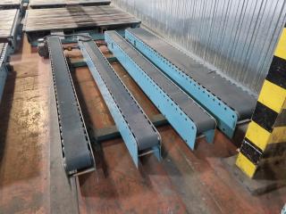 Quad Conveyor Belt Section