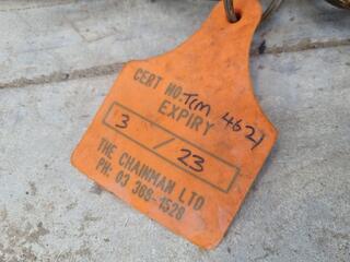 Single Leg Lifting Chain Assembly, 5.3-Ton Capacity