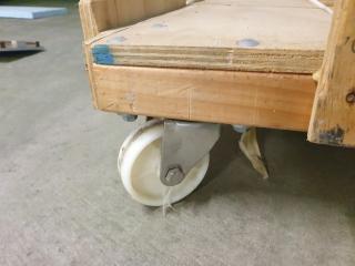 Trolley with Damp Remover
