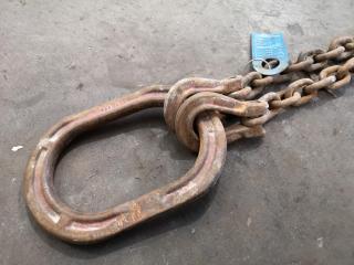 4.2T Multi Leg Lifting Chain