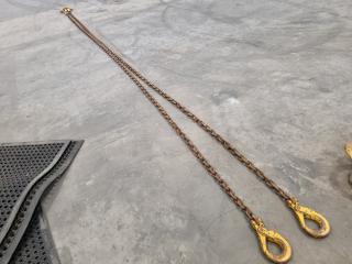 2-Leg Lifting Chain Assembly, 6-Metre, 9-Ton
