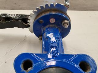 QHT-DN50 PN16 T1511 Body And Disc Center Line Butterfly Valve