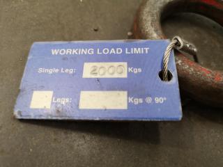 2000kg Plate Lifting Clamp