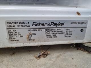 Fisher & Paykel Refrigerator Freezer