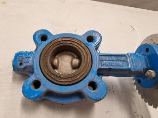 DN40 CF8M 1.5 TE98 Body And Disc Center Line Butterfly Valve