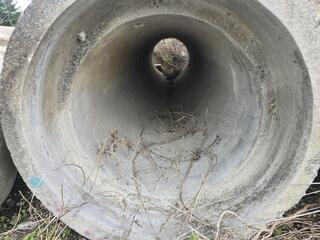 Concrete Culvert Pipe 
