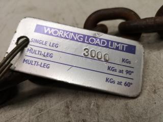 3000kg Lifting Chain Assembly