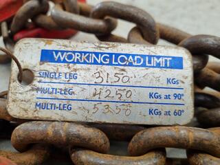 2-Leg Lifting Chain Assembly, 5350kg Max Capacity