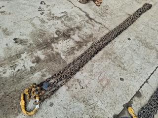 4.8M Two Leg Lifting Chain Assembly