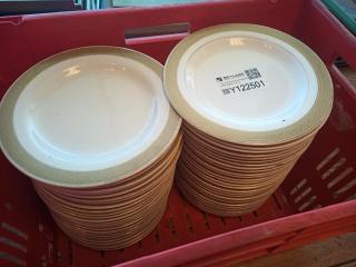 Large Lot of Commercial Plates