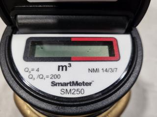 SmartMeter SM250 Electronic Water Meter, New