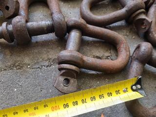 37x D-Shackles