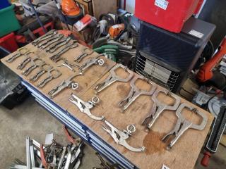 Assortment of Locking Pliers, Press Clamps and Vise Grips