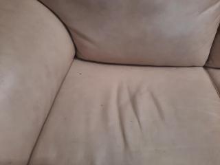 Leather Sofa Couch