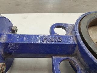 PN16 DN100 CF8 Body And Disc Center Line Butterfly Valve