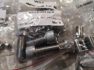 Assorted Stainless Steel Bolts, Nuts, Washers, Screws