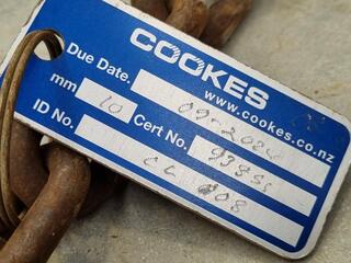 2-Leg Lifting Chain Assembly, 4250kg Max Capacity