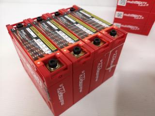 19x Ultrabatt MultiMighty Lithium Ion 12V Batteries in 4x Groups