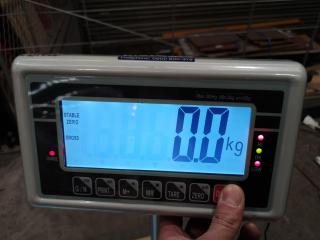 300kg Capacity Industrial Digital Floor Scale
