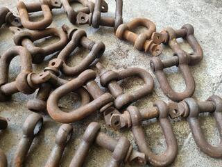 37x D-Shackles