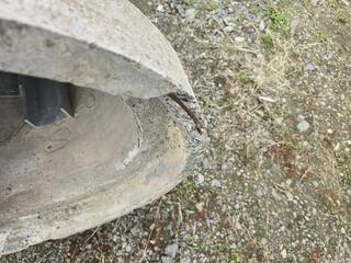 Concrete Culvert Pipe 