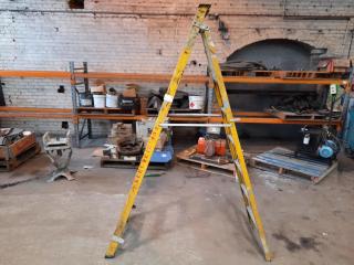 Electricians Insulated Ladder (2.25M)