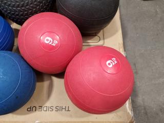 14x Assorted Medicine Weight Fitness Balls