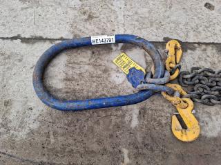 4.8M Two Leg Lifting Chain Assembly (4.25T)