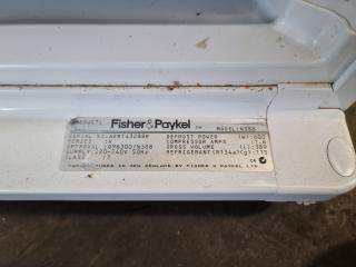 Fisher & Paykel Freezer