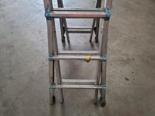Easy Access Co Telescopic Articulated Ladder