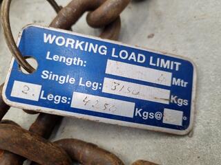 2-Leg Lifting Chain Assembly, 4250kg Max Capacity