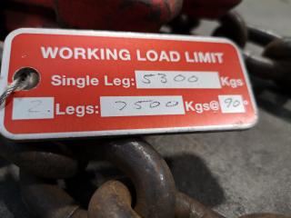 2-Leg Lifting Chain Set, 7500kg Capacity