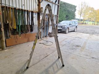 Workshop A-Frame/Straight Ladder