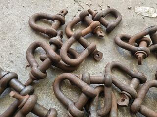 37x D-Shackles