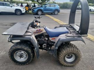 Yamaha Big Bear 350cc Quad Bike 