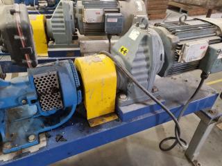 Viking Industrial Pump Assembly w/ SEW Eurodrive Motor & Reduction Box