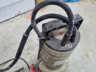 Lowara Single Phase Stainless Steel Water Pump