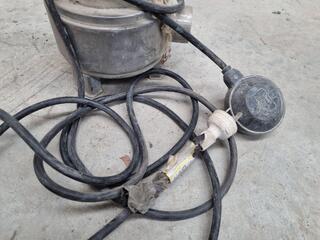 Lowara Single Phase Stainless Steel Water Pump