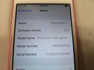 Apple iPod Touch 6th Gen, 16Gb