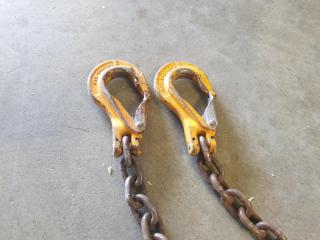 2 Leg Lifting Chain