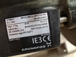 Grundfos Industrial Water Pump