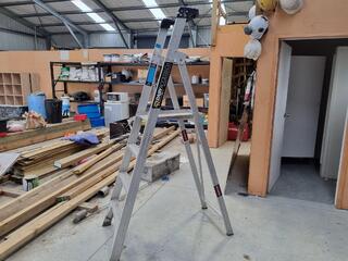 Easy Access DX Industrial Step Ladder