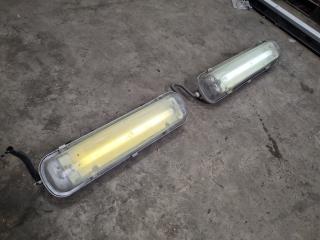 Pair of 20W Flourecent Lights Single Phase