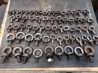 66x Assorted Lifting Eye Bolts