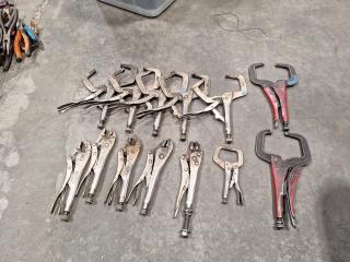 Assortment of Vice Grips & Locking Pliers