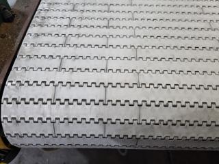 Plastic Link Conveyor