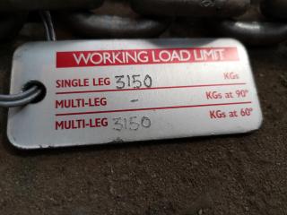 3150kg Double Leg Lifting Chain Set