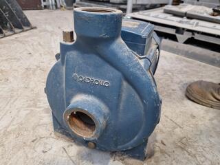 Pedrollo 3-Phase Pump CP 220C