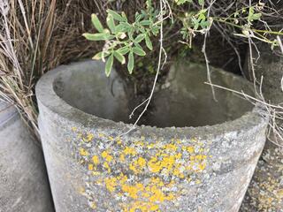 Concrete Culvert Pipe 